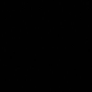 Meet your Posher, Shelby